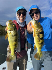 Toa Alta Report Photo 2