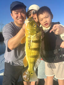 Toa Alta Report Photo 1