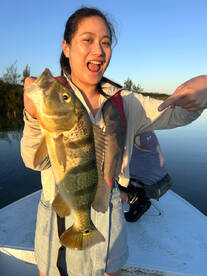 Toa Alta Report Photo 1