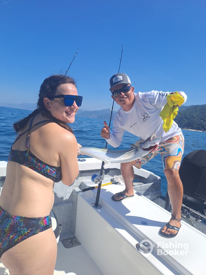 Puerto Vallarta Report Photo 0