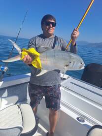 Puerto Vallarta Report Photo 2