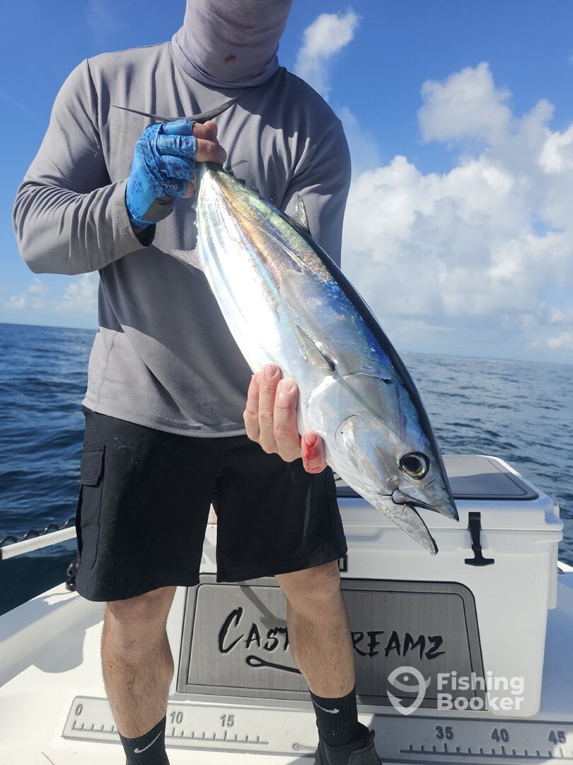 Miami Beach Report Photo 0