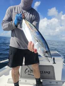 Offshore tuna bite (Miami)