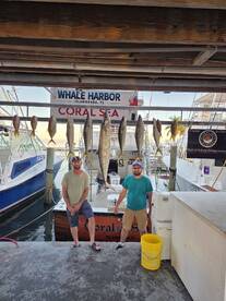 Islamorada Report Photo 2