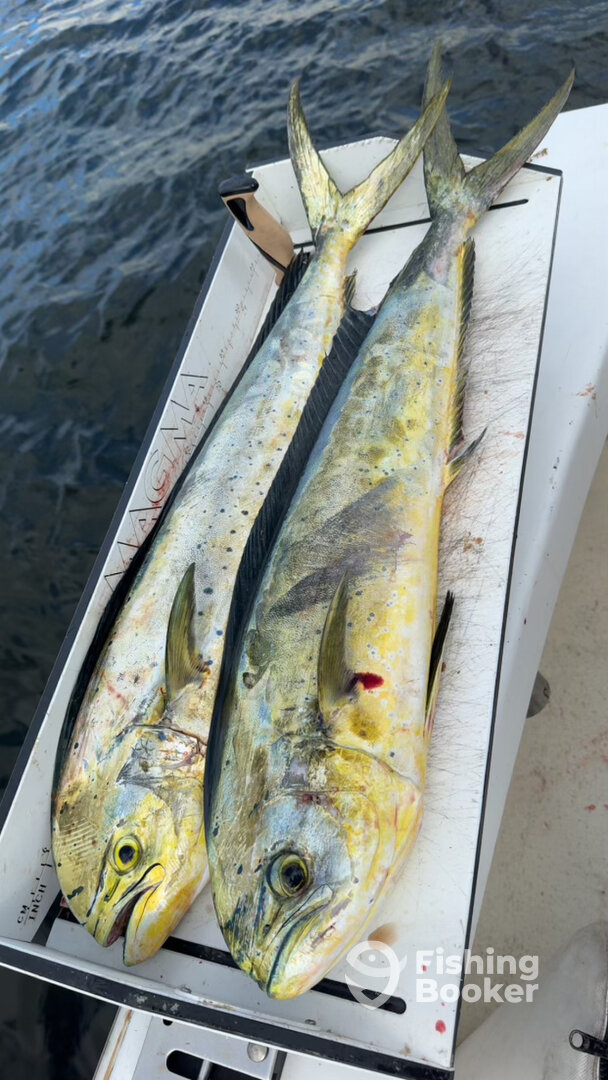 Pompano Beach Report Photo 0