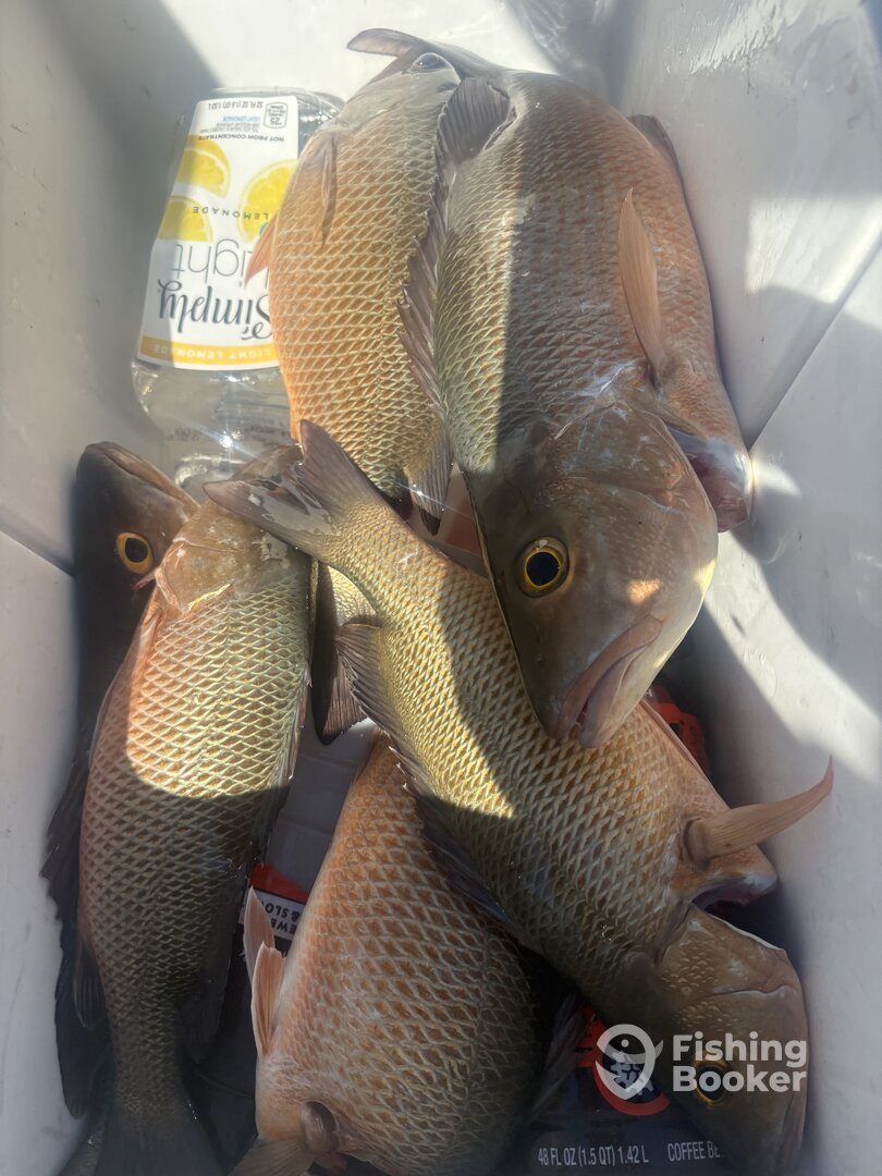 Stock Island Report Photo 0