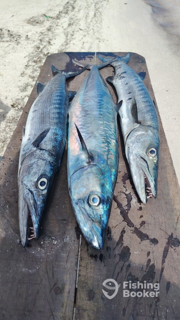 Mahahual Report Photo 0