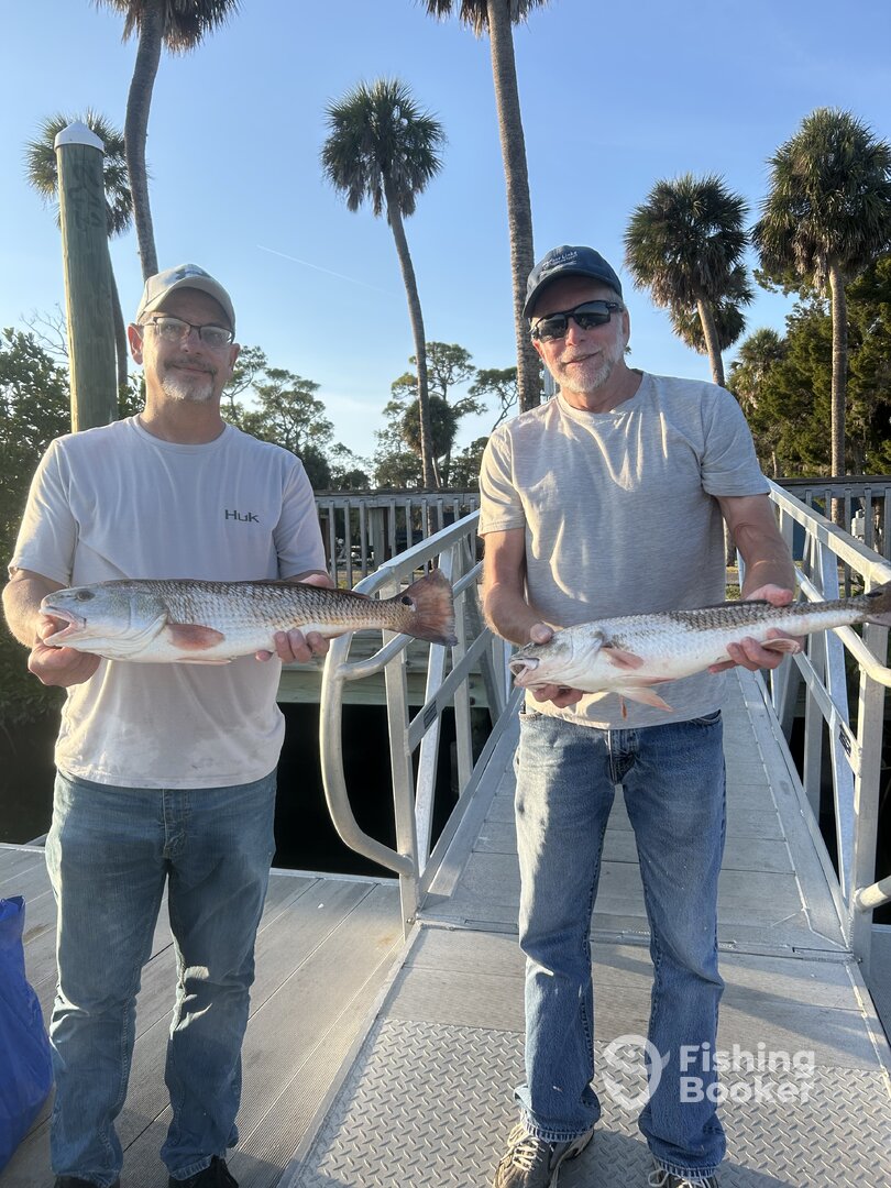 Spring Hill Report Photo 0