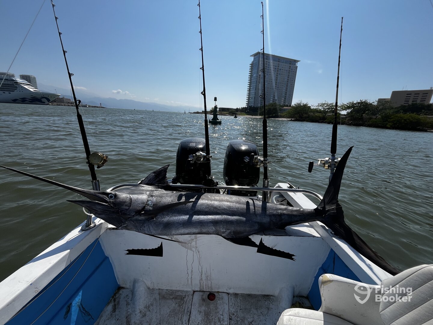 Puerto Vallarta Report Photo 0