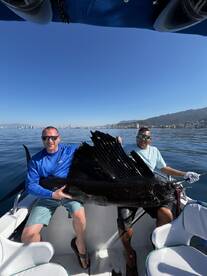 Puerto Vallarta Report Photo 2