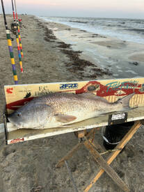 Louisiana Report Photo 1