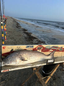 They just keep coming!