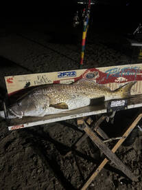 Creole Report Photo 2