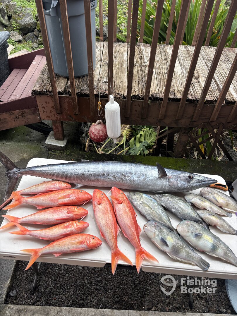 Hawaii Report Photo 0