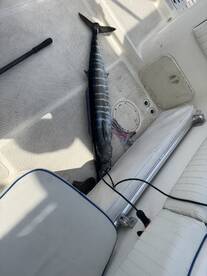 Hawaii Report Photo 1