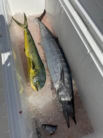 West Bay Report Photo 2