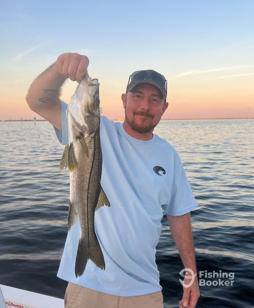 Punta Gorda Report Photo 0