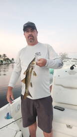 Punta Gorda Report Photo 1