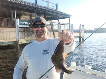 Punta Gorda Report Photo 2