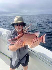 Gulf of Mexico Report Photo 1