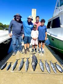 Dania Beach Report Photo 1