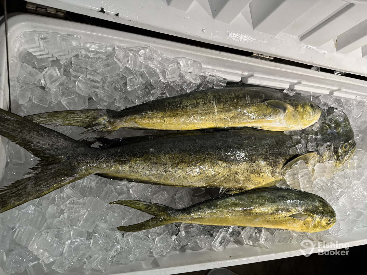 Miami Report Photo 0