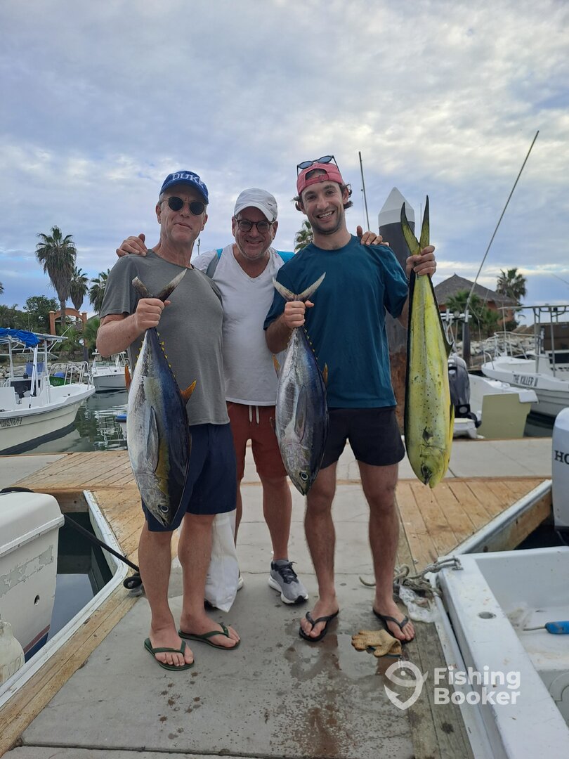 San Jose del Cabo Report Photo 0