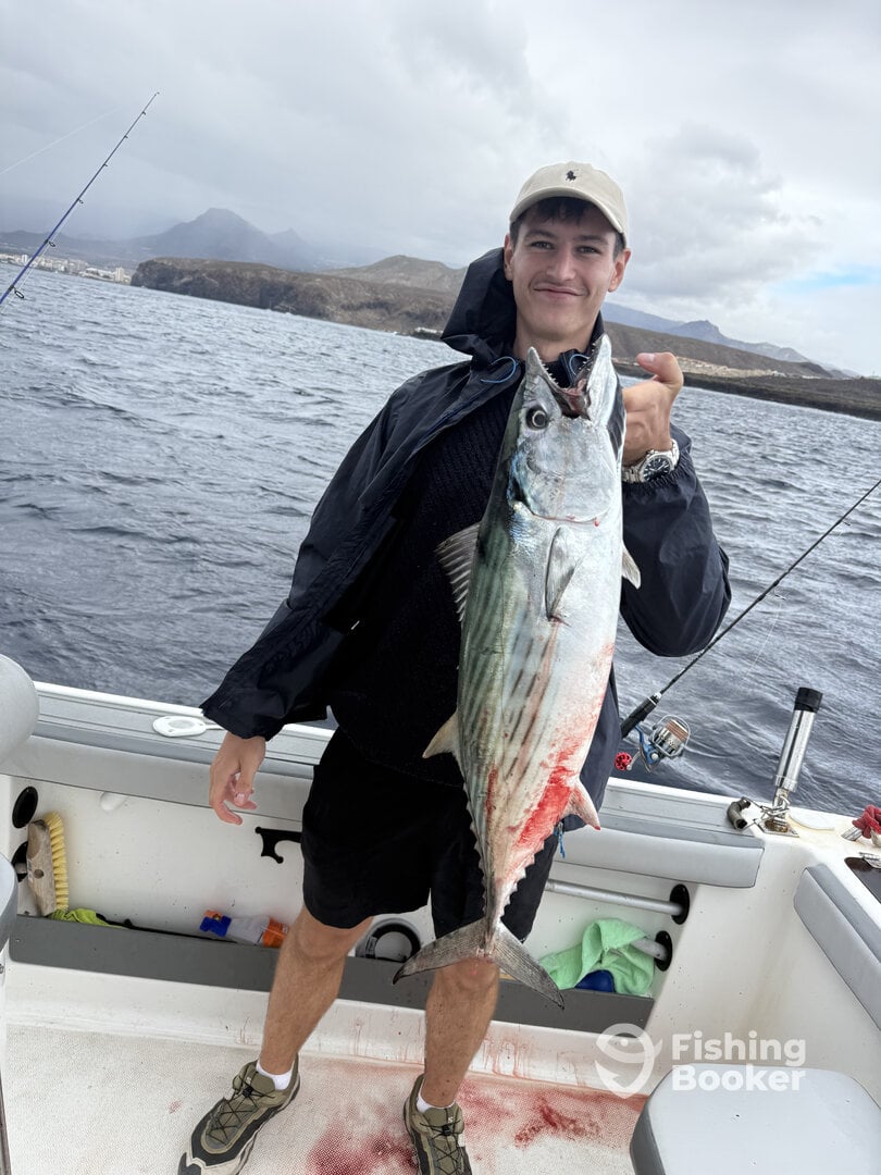 Las Galletas Report Photo 0