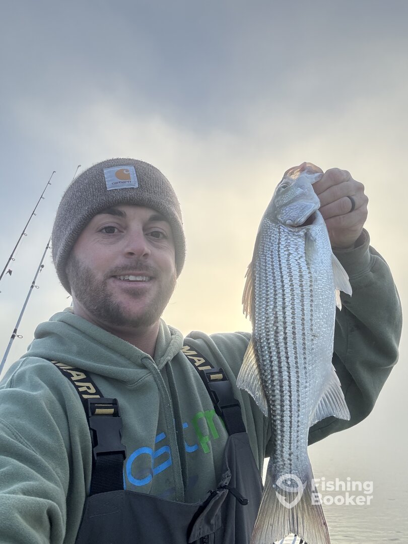 Townville Report Photo 0