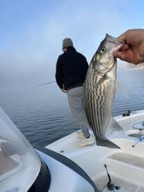 Townville Report Photo 1