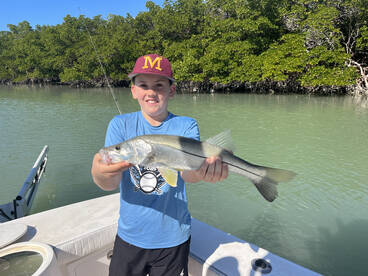 Snook are back on the bite