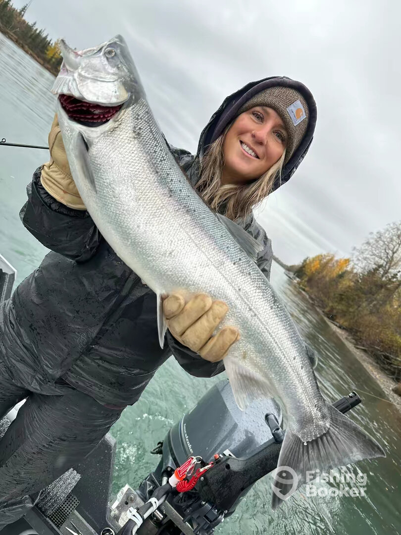 Kenai Report Photo 0