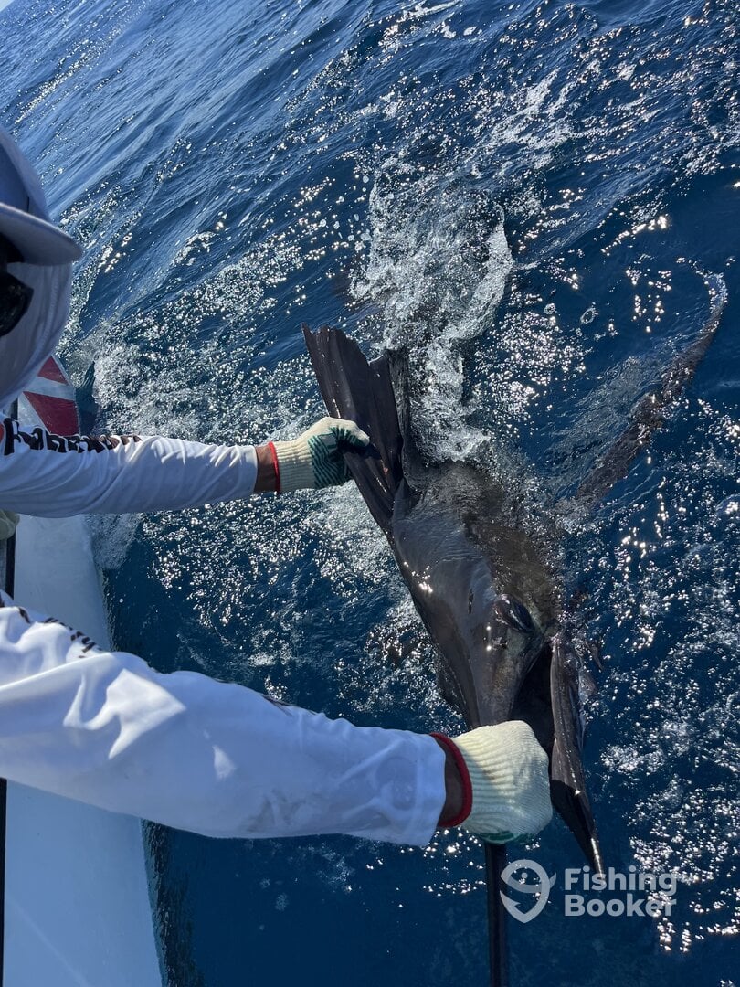 Herradura Report Photo 0