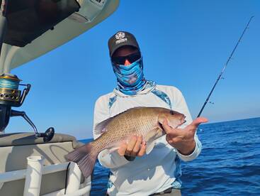 New Smyrna Beach Report Photo 2