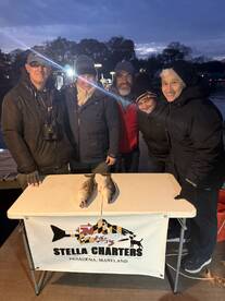 Washington DC Report Photo 1