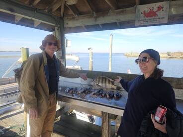 Hampton Report Photo 2