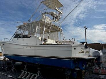 Hampton Bays Report Photo 4