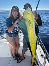 Hampton Bays Report Photo 1