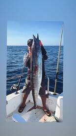 Hampton Bays Report Photo 3