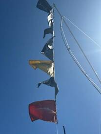 Hampton Bays Report Photo 1