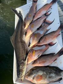 Belleair Bluffs Report Photo 3