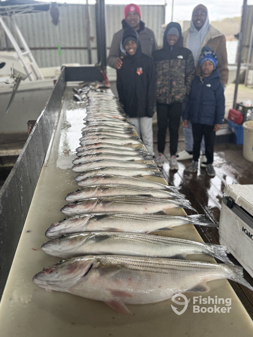 Pottsboro Report Photo 0