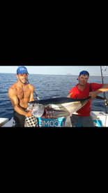 Tuna season has started!