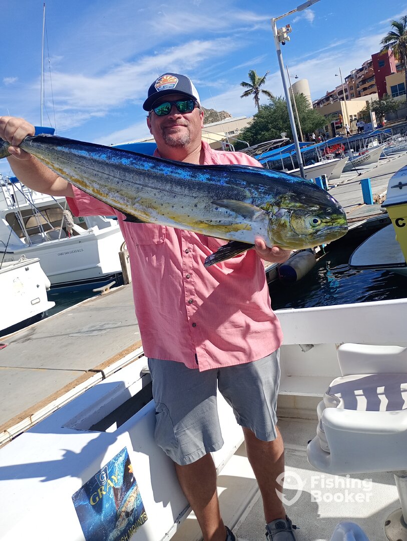 Cabo San Lucas Report Photo 0