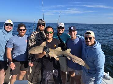Nurse Shark, Almaco Jacks, Black Seabass