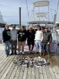 New Hanover County Report Photo 2