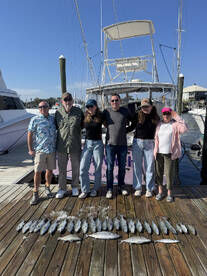 New Hanover County Report Photo 3