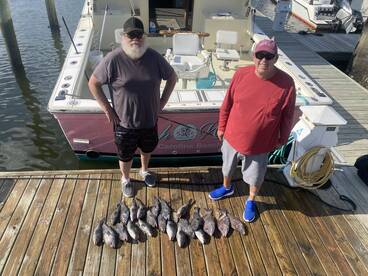 New Hanover County Report Photo 4