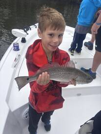 Cooper River Report Photo 3