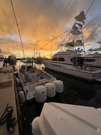 Fajardo Report Photo 1